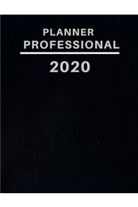 planner professional 2020