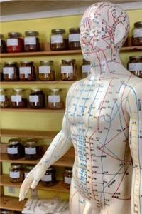 Acupuncture Notebook