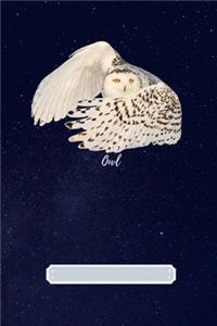 Owl