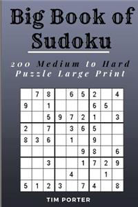 Big Book of Sudoku
