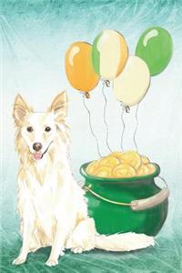 Collie