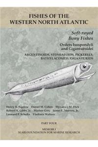 Soft-rayed Bony Fishes: Orders Isospondyli and Giganturoidei