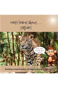 Matt Learns About. . . Jaguars