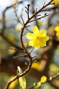Golden Yellow Flower Blooming on a Branch Journal