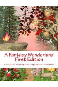 A Fantasy Wonderland - 1st Edition