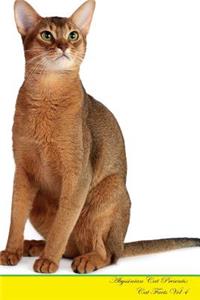 Abyssinian Cat Presents