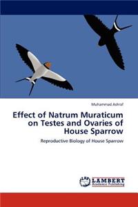 Effect of Natrum Muraticum on Testes and Ovaries of House Sparrow