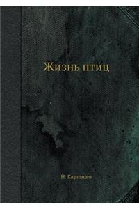 Жизнь птиц