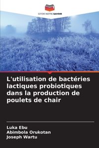 L'utilisation de bactéries lactiques probiotiques dans la production de poulets de chair