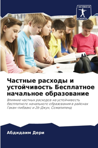 Частные расходы и устойчивость Бесплатно