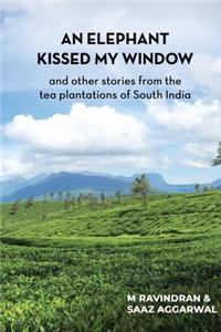 An elephant kissed my window