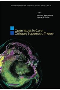 Open Issues in Core Collapse Supernova Theory