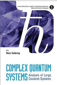 Complex Quantum Systems: Analysis of Large Coulomb Systems