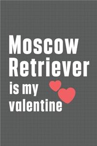 Moscow Retriever is my valentine