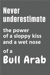 Never underestimate the power of a sloppy kiss and a wet nose of a Bull Arab