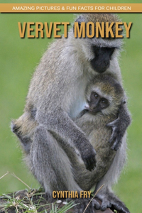 Vervet Monkey