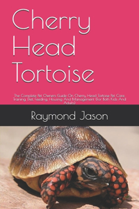 Cherry Head Tortoise