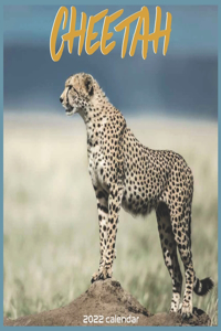 Cheetah 2022 Calendar