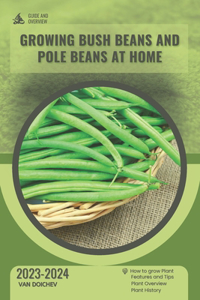 Growing bush beans and pole beans at home