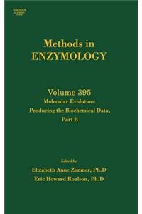Molecular Evolution