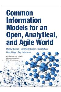 Common Information Models for an Open, Analytical, and Agile World