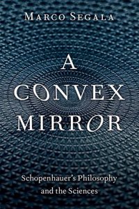 Convex Mirror