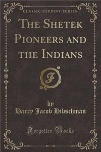 The Shetek Pioneers and the Indians (Classic Reprint)