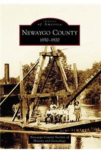 Newaygo County 1850-1920