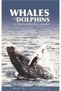 Whales & Dolphins of Newfoundland & Labrador