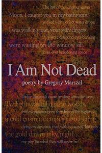I Am Not Dead, Poetry