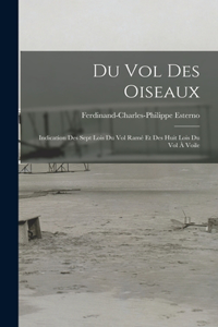 Du Vol Des Oiseaux