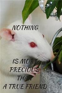 Nothing Is More Precious Than a True Friend