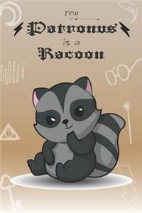 My Patronus Is A Racoon