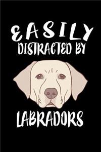 Easily Distracted By Labradors