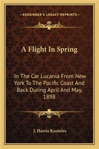 A Flight In Spring