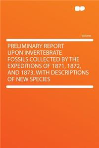 Preliminary Report Upon Invertebrate Fossils Collected by the Expeditions of 1871, 1872, and 1873, with Descriptions of New Species