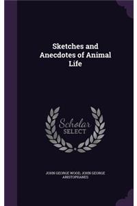 Sketches and Anecdotes of Animal Life