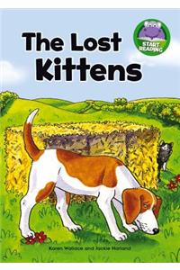 The Lost Kittens