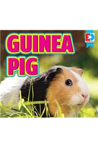 Guinea Pigs