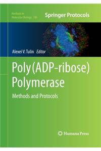 Poly(ADP-Ribose) Polymerase