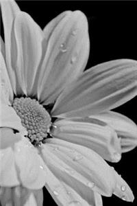 Mind Blowing Black And White Flower Journal