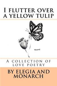 I Flutter Over a Yellow Tulip