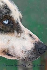 Catahoula Leopard Dog February Notebook Catahoula Leopard Dog Record, Log, Diary, Special Memories, To Do List, Academic Notepad, Scrapbook & More