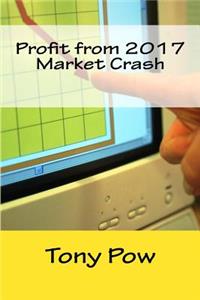 Profit from 2017 Market Crash