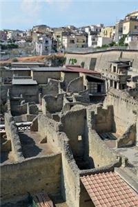 Ruins of Herculaneum in Italy Journal