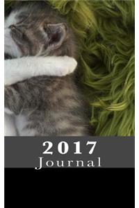 2017