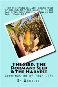 The Seed, The Dormant Seed & The Harvest