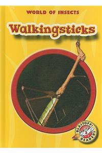 Walkingsticks