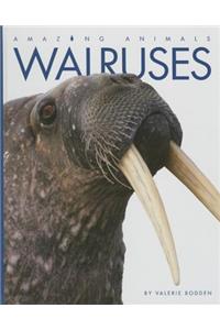 Walruses