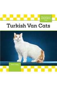 Turkish Van Cats